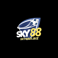 sky88vibiz - LeetCode Profile