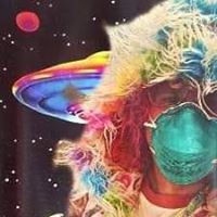LeetCode profile picture for @talbot