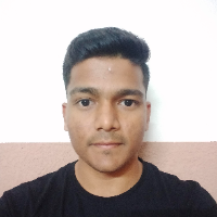 vishal_0719 - LeetCode Profile