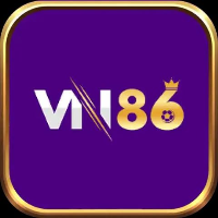 vn86team - LeetCode Profile