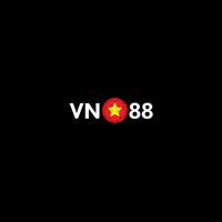 vn88design1 - LeetCode Profile