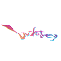 LeetCode profile picture for @Whitey