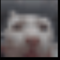 LeetCode profile picture for @xaw